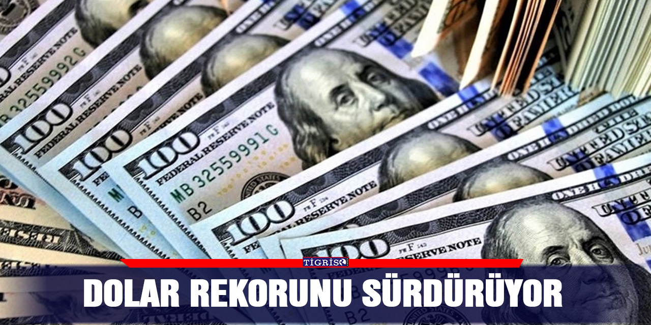 Dolar rekorunu sürdürüyor