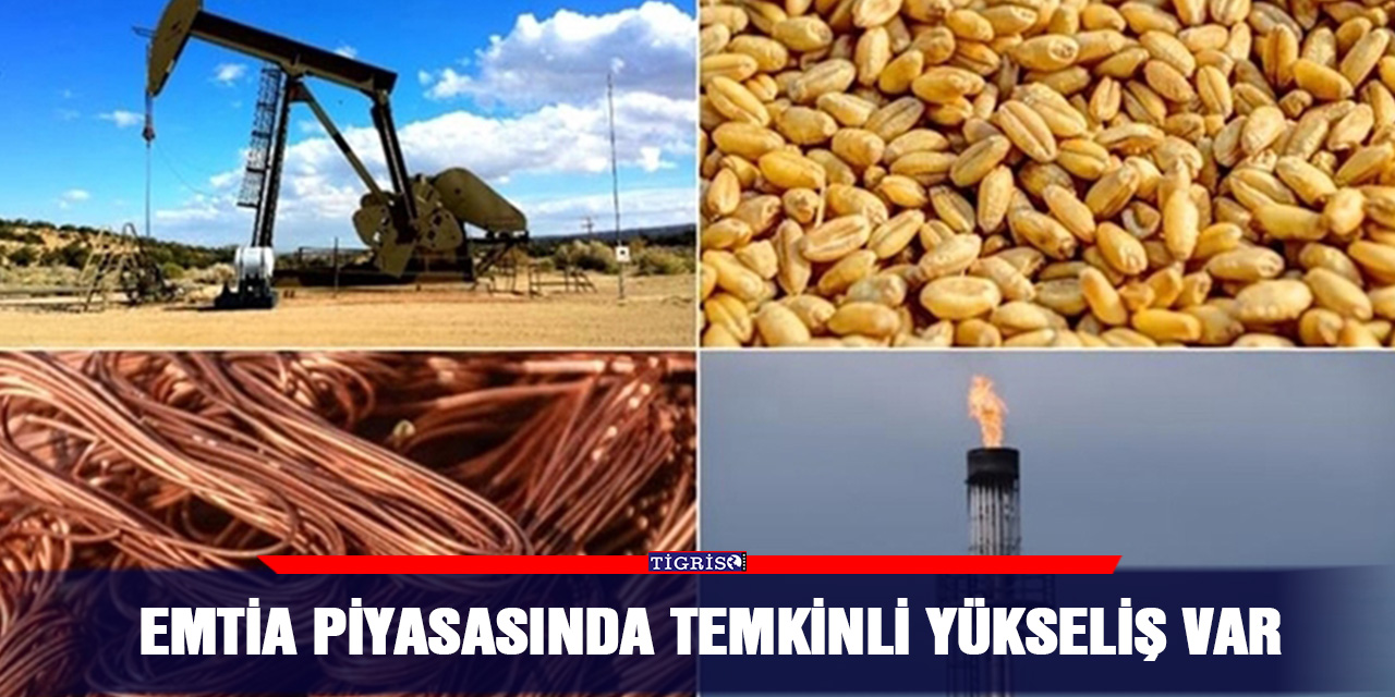 Emtia piyasasında temkinli yükseliş var