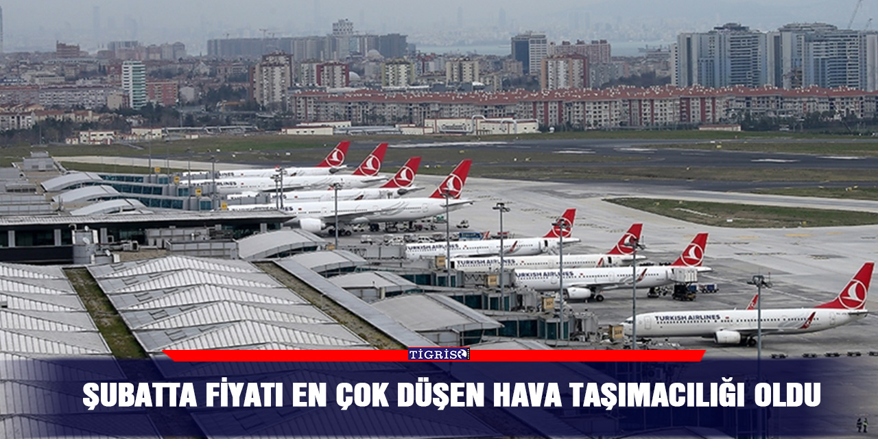 Şubatta fiyatı en çok düşen hava taşımacılığı oldu