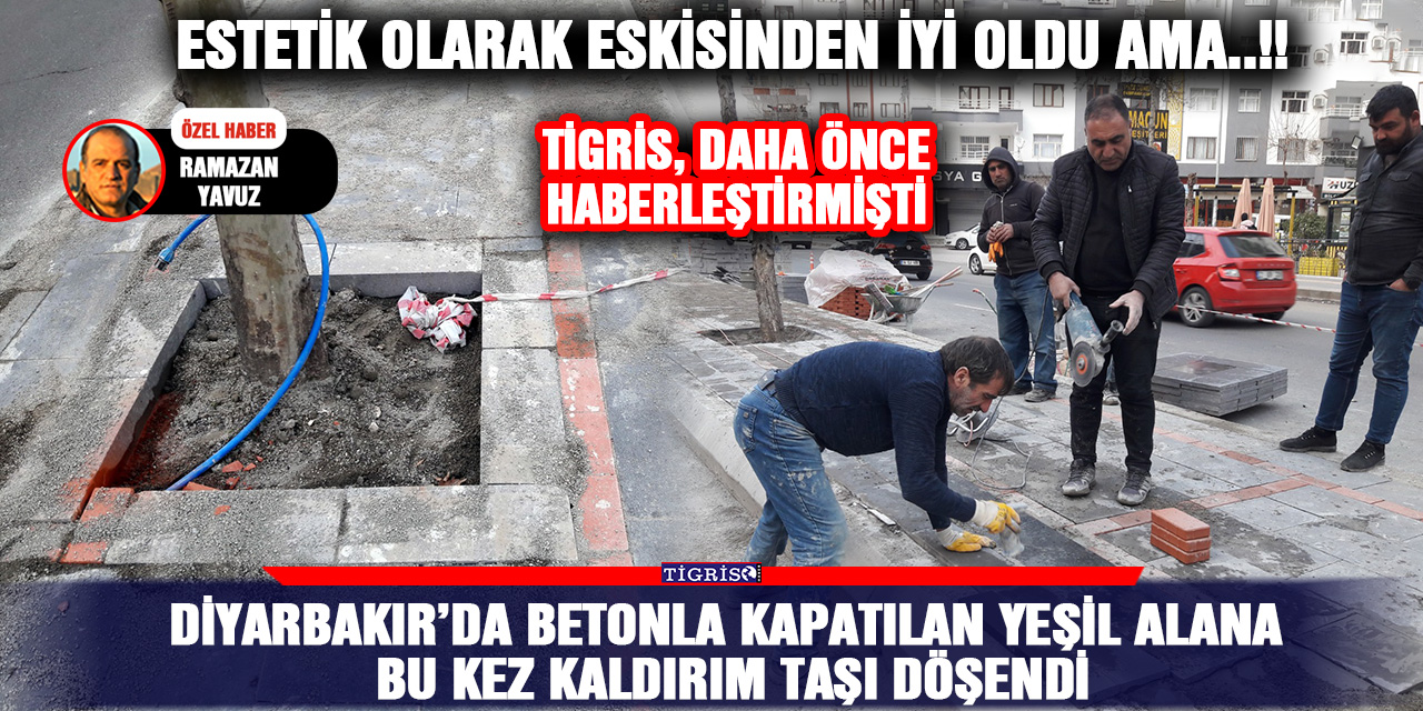 VİDEO - Betonla kapatılan yeşil alana bu kez kaldırım taşı döşendi