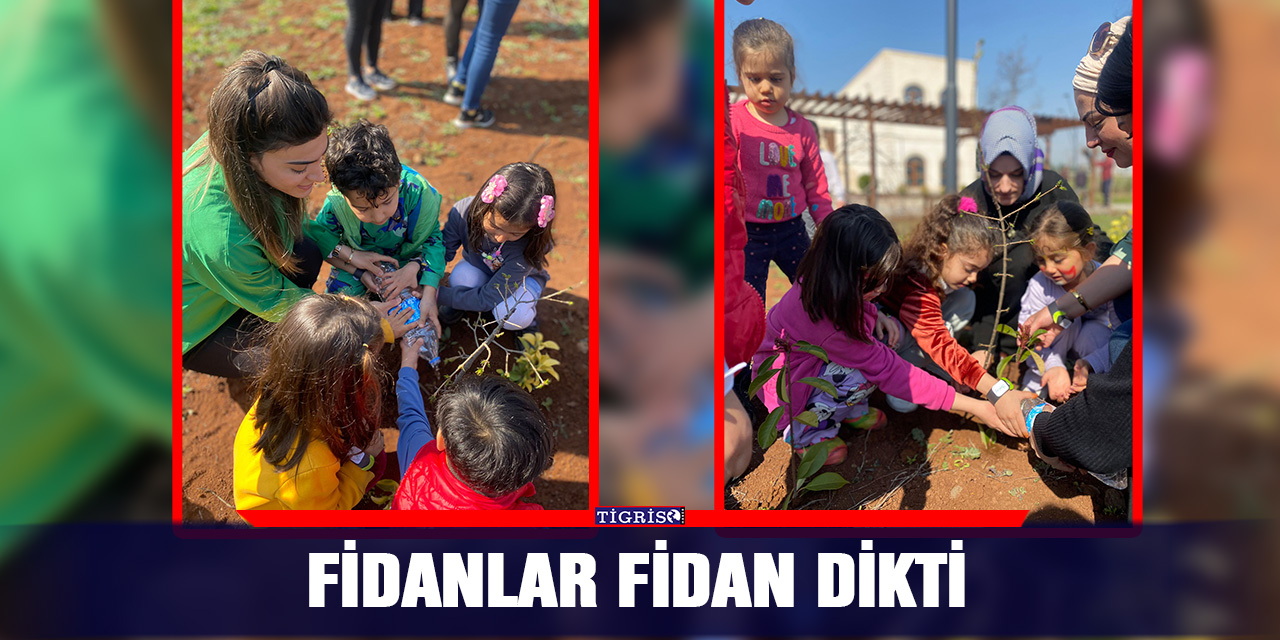 Fidanlar fidan dikti