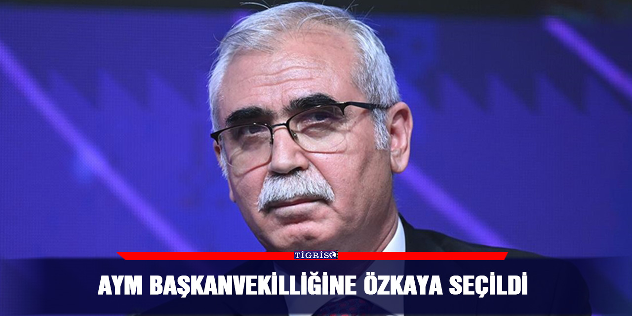AYM Başkanvekilliğine Özkaya seçildi