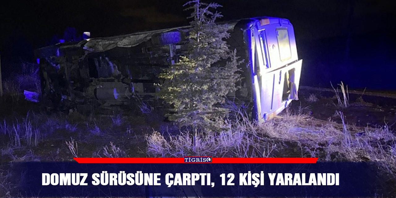 Domuz sürüsüne çarptı, 12 kişi yaralandı