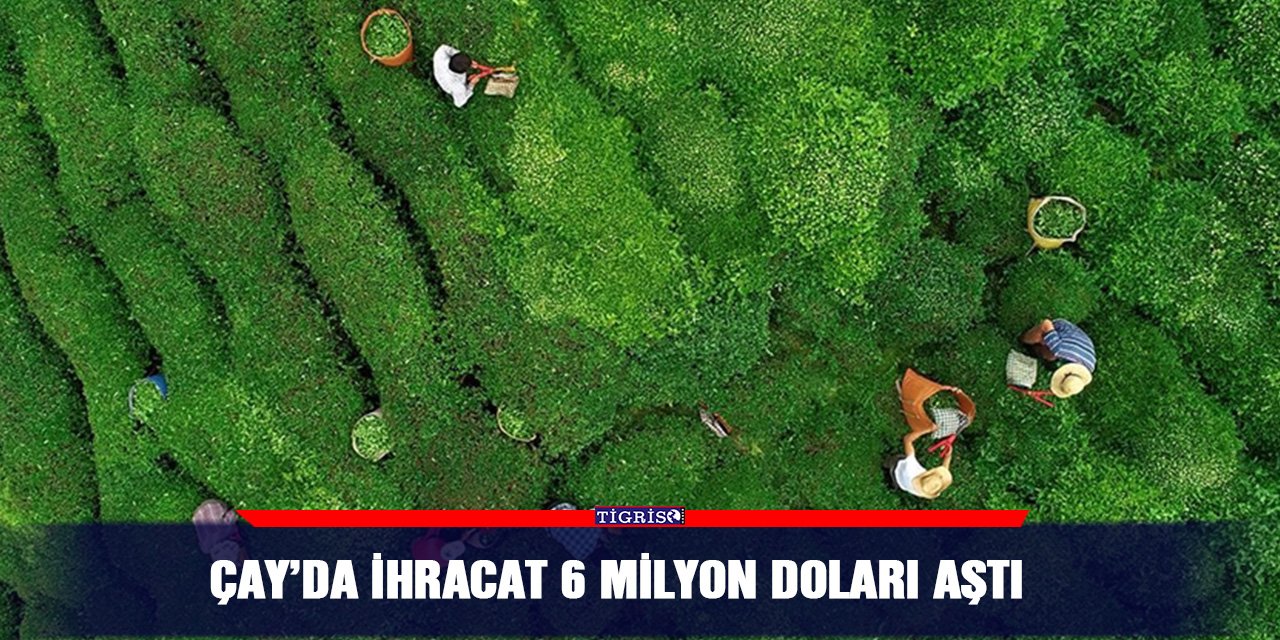 Çay’da ihracat 6 milyon doları aştı