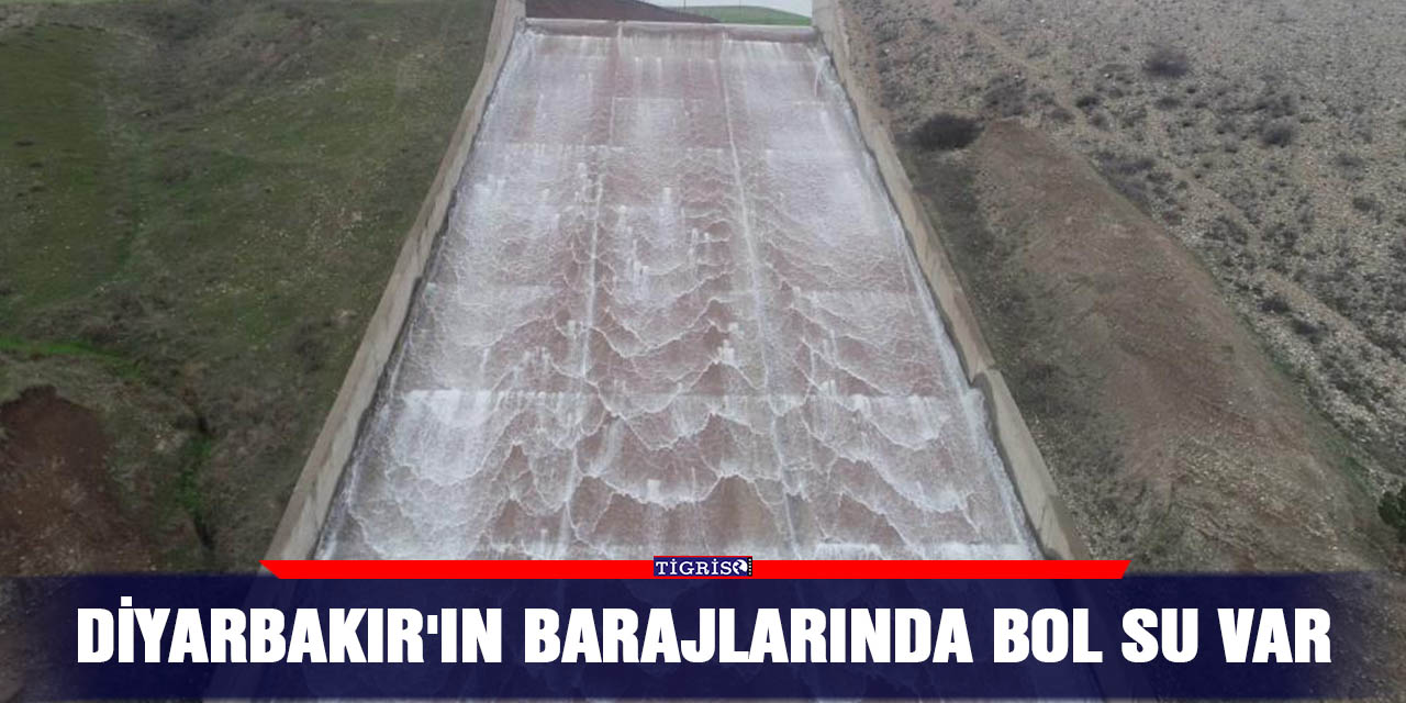 Diyarbakır'ın barajlarında bol su var