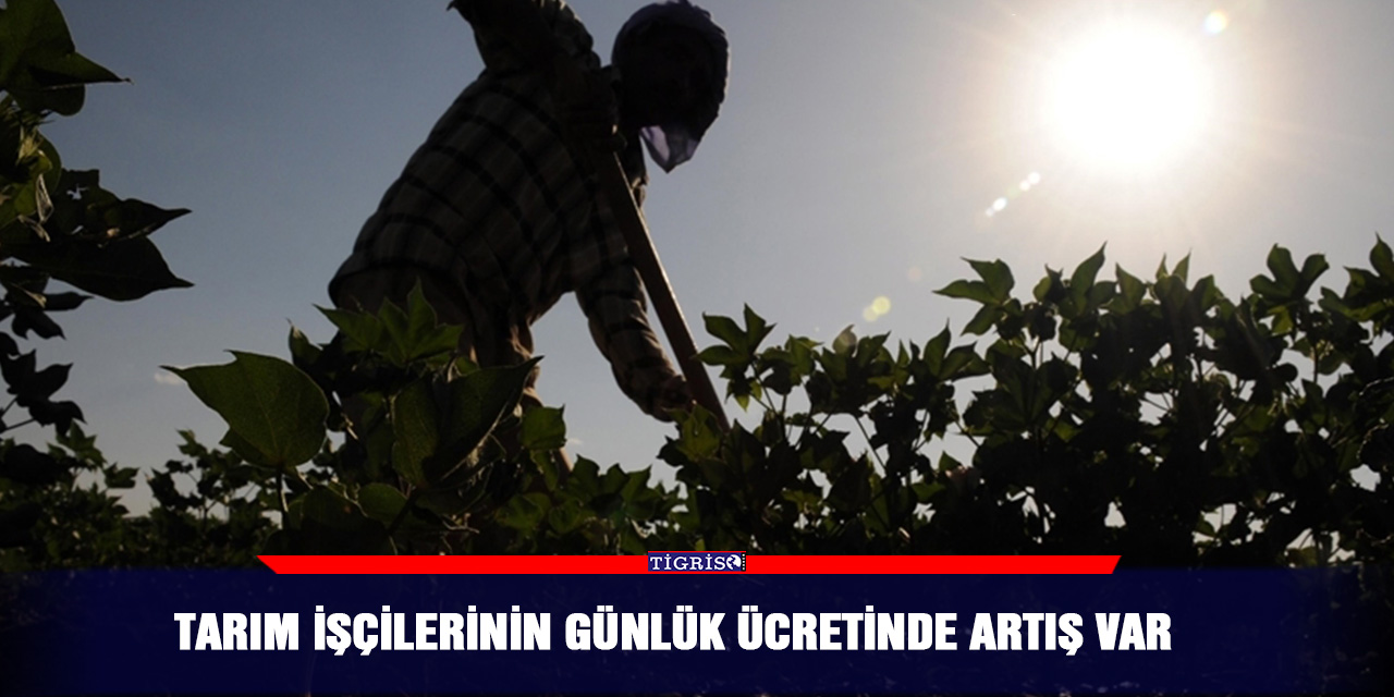 Tarım işçilerinin günlük ücretinde artış var