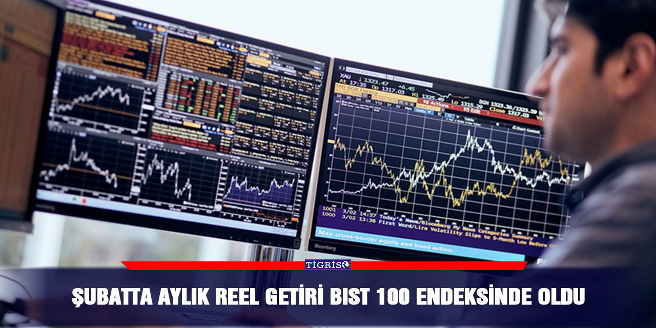 Şubatta aylık reel getiri BIST 100 endeksinde oldu