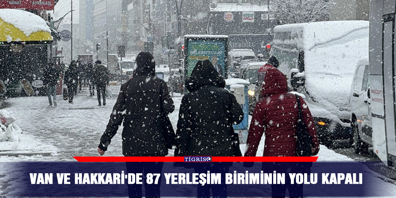 Van ve Hakkari'de 87 yerleşim biriminin yolu kapalı
