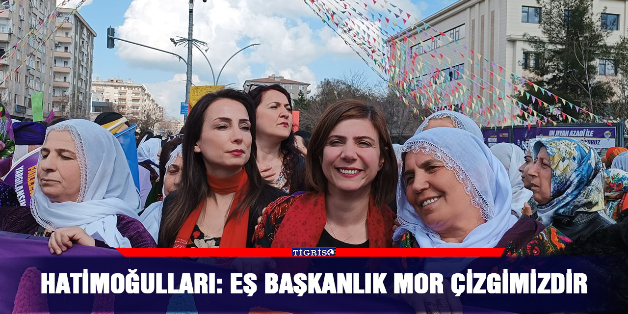 Hatimoğulları: Eş başkanlık mor çizgimizdir