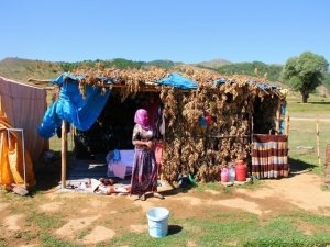 Hem kominal hem de ekolojik yaşam: Koçerlik