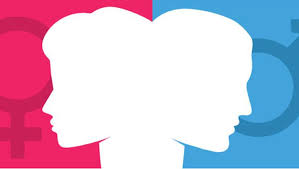 CİNSİYETÇİ DİLİN GÖLGESİNDE BİR DİL İNCELEMESİ