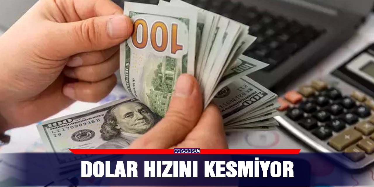 Dolar hızını kesmiyor