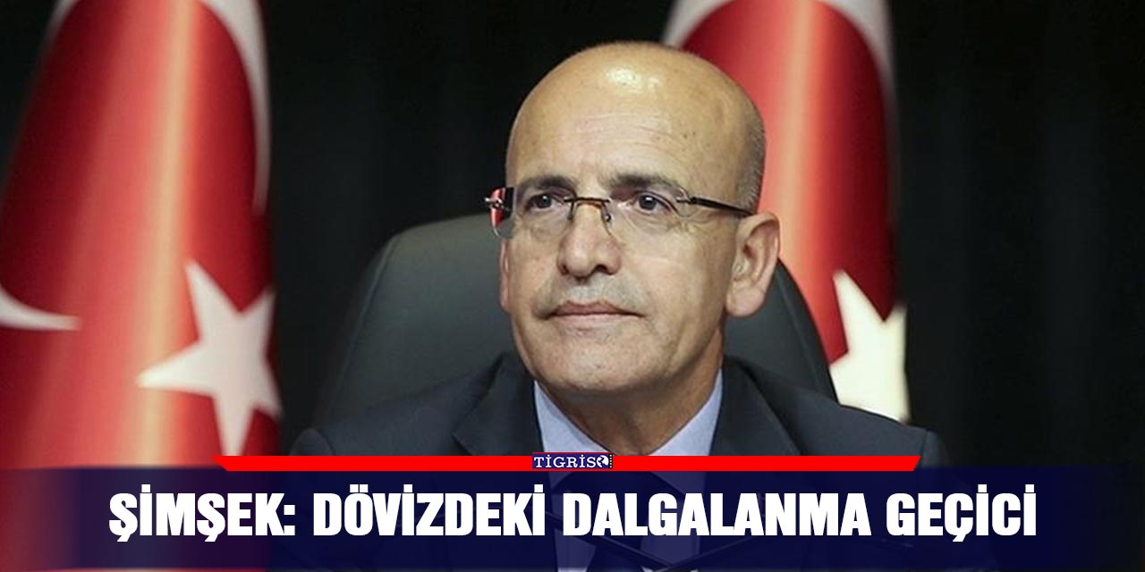 Şimşek: Dövizdeki dalgalanma geçici