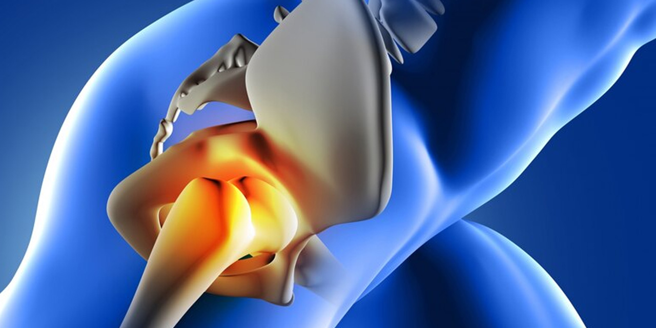Kemik Sağlığı İçin İdeal Besinler: Güçlü Kemikler İçin İpuçları