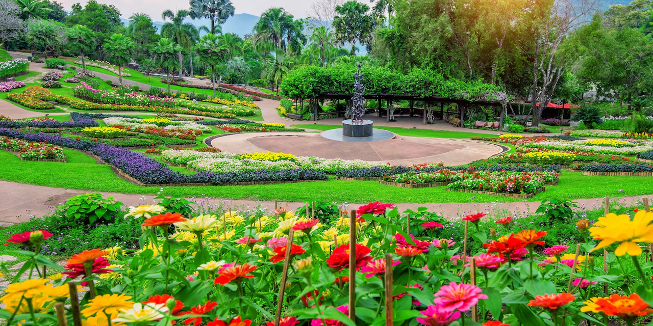 İLKBAHARDA BAHÇENİZİ RENKLENDİREN ÇİÇEKLER