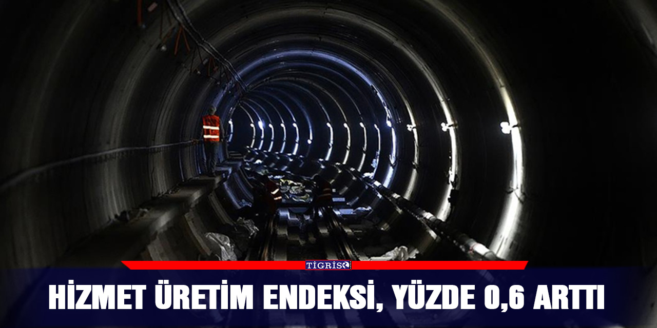 Hizmet üretim endeksi, yüzde 0,6 arttı