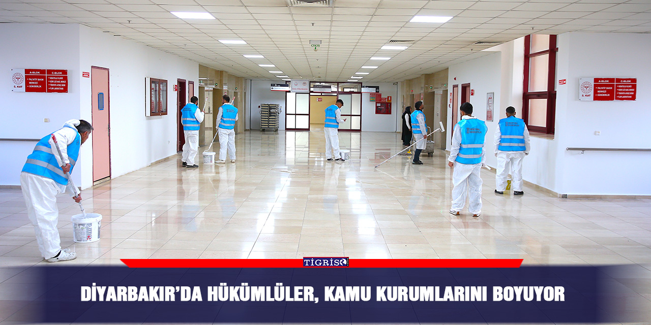 Diyarbakır’da hükümlüler, kamu kurumlarını boyuyor