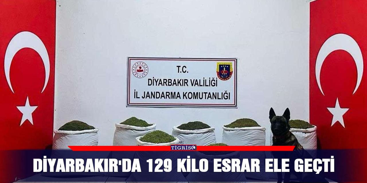 Diyarbakır'da 129 kilo esrar ele geçti