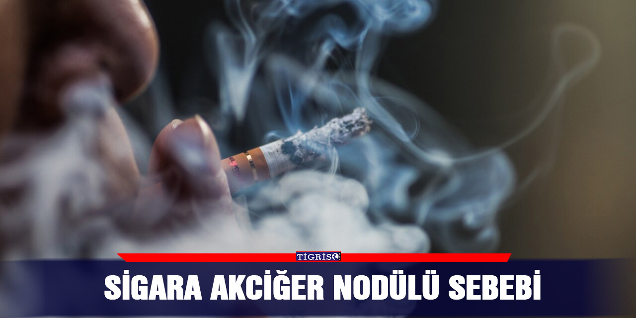 Sigara akciğer nodülü sebebi