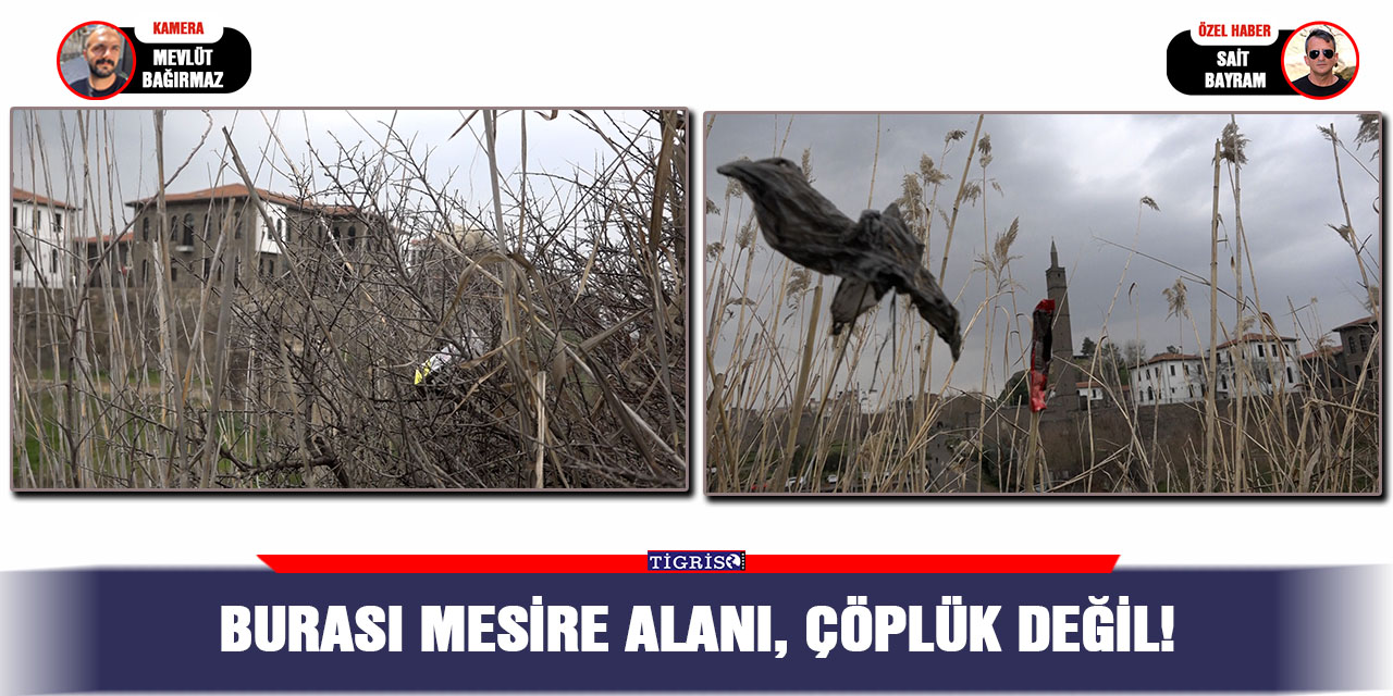 VİDEO - Burası mesire alanı, çöplük değil!