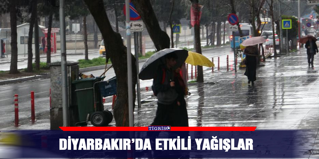 VİDEO - Diyarbakır’da etkili yağışlar