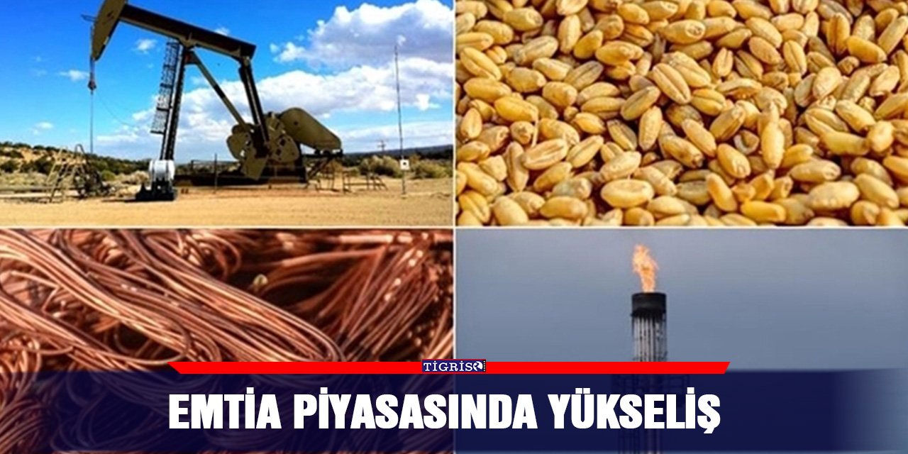 Emtia piyasasında yükseliş