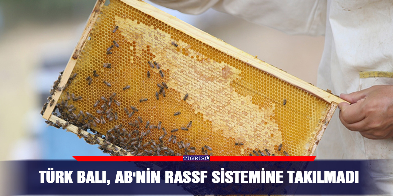 Türk balı, AB'nin RASSF sistemine takılmadı