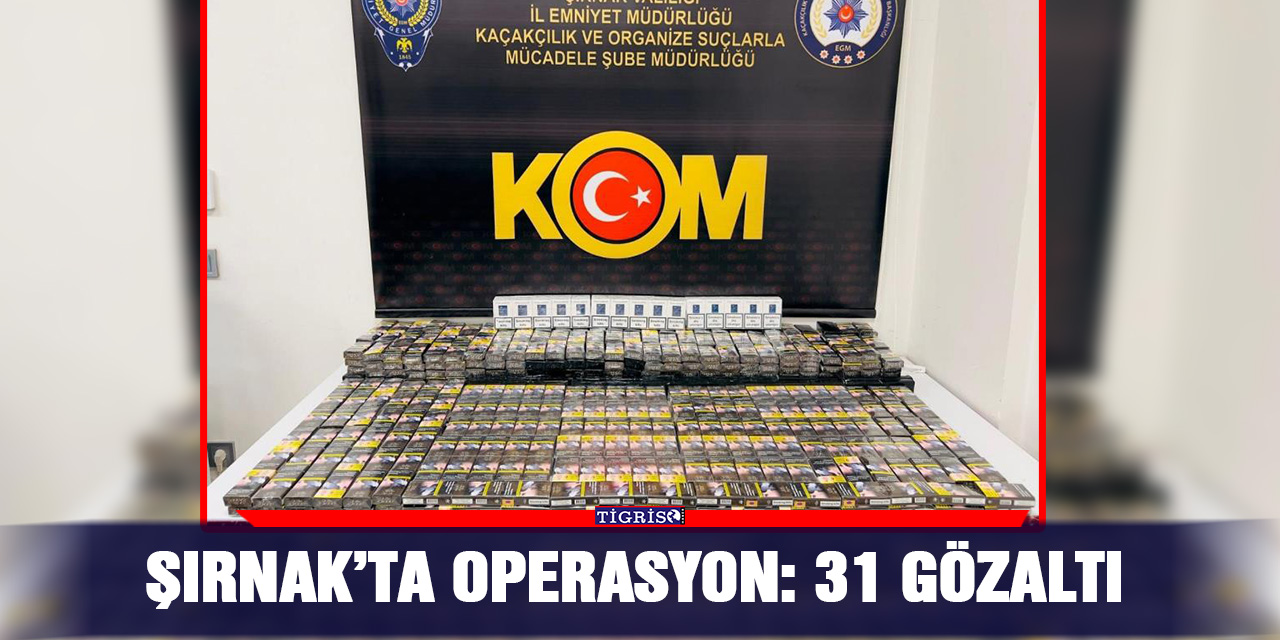 Şırnak’ta operasyon: 31 gözaltı