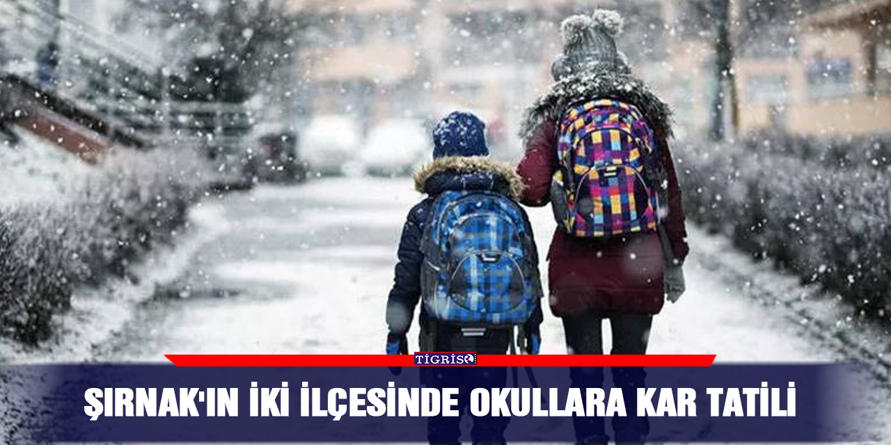 Şırnak'ın iki ilçesinde okullara kar tatili