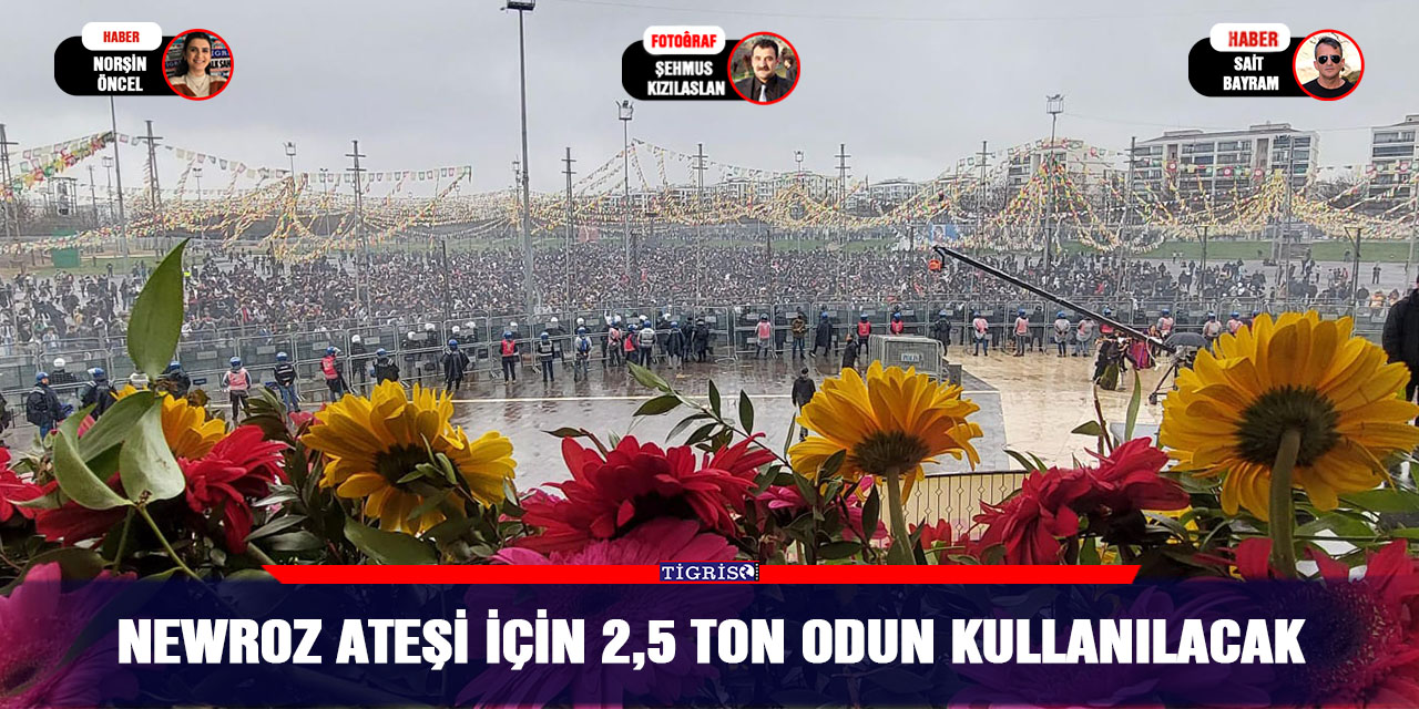 Newroz ateşi için 2,5 ton odun kullanılacak