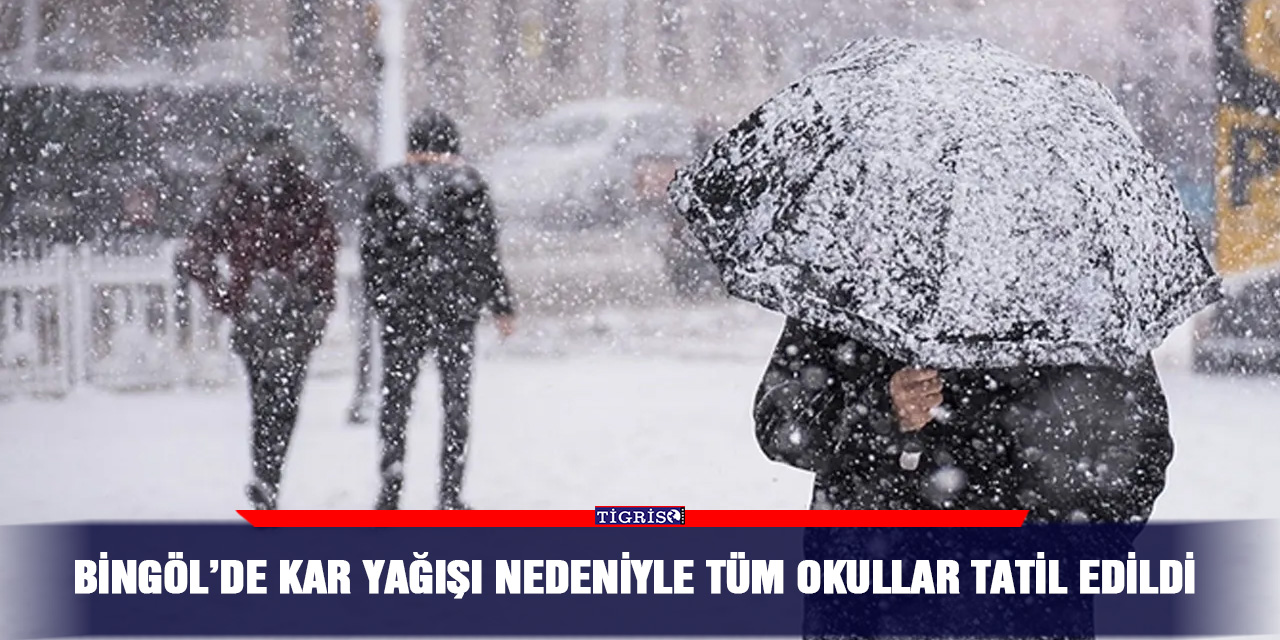 Bingöl’de kar yağışı nedeniyle tüm okullar tatil edildi