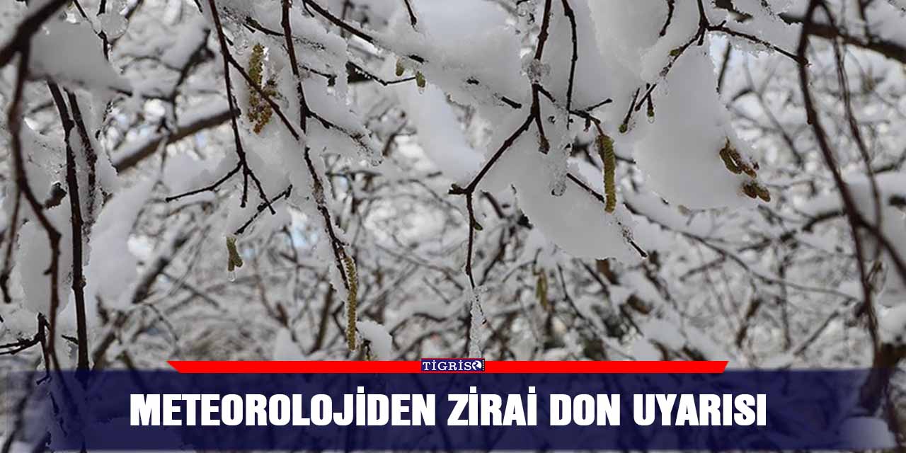 Meteorolojiden zirai don uyarısı