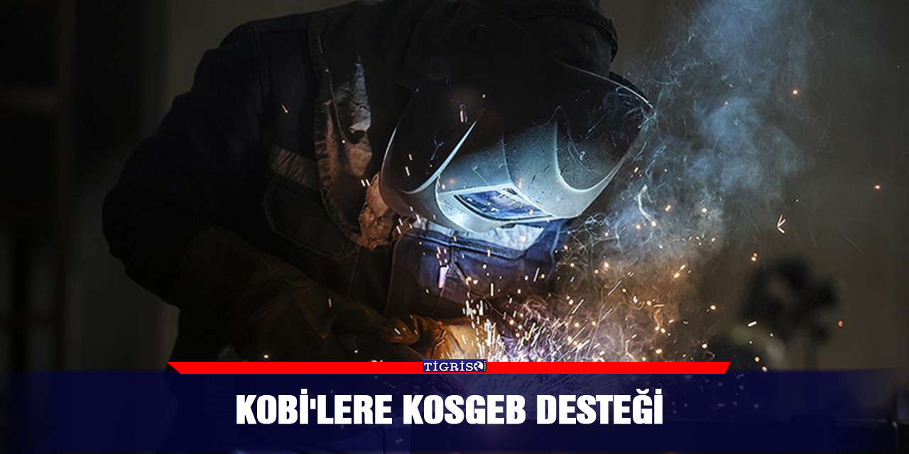 KOBİ'lere KOSGEB desteği