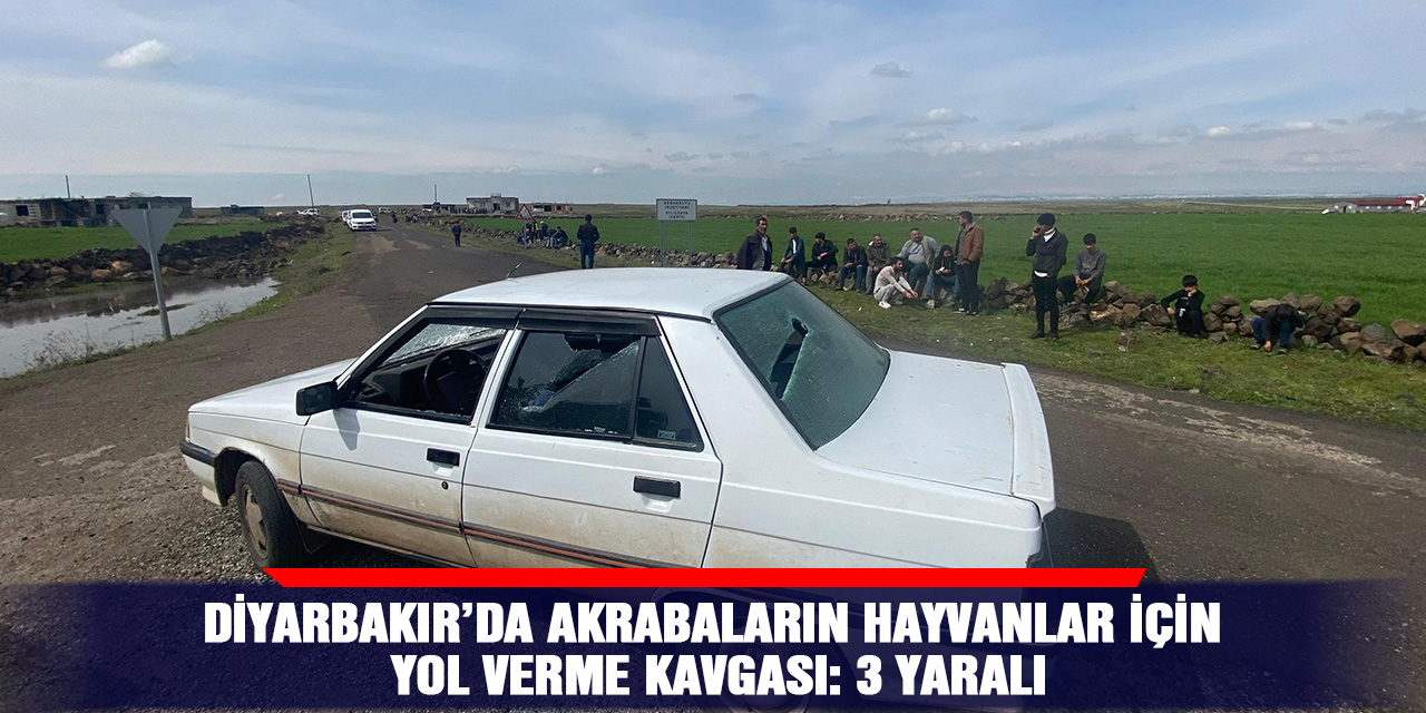 Diyarbakır’da akrabaların hayvanlar için yol verme kavgası: 3 yaralı