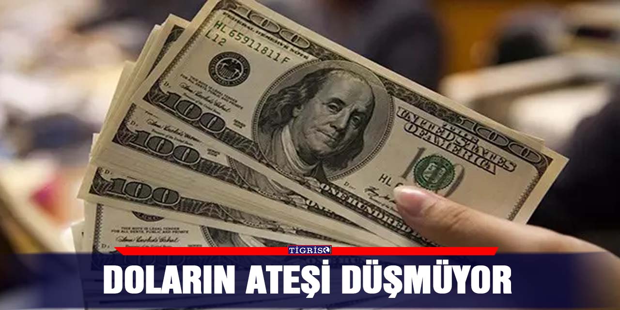 Doların Ateşi Düşmüyor