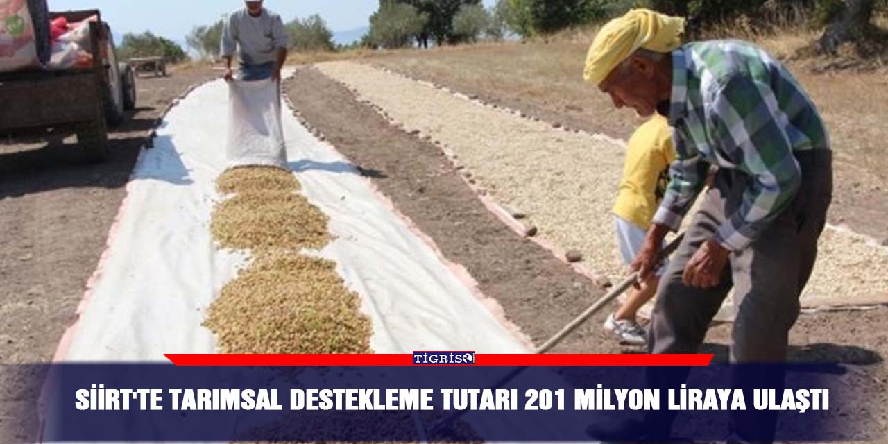 Siirt'te tarımsal destekleme tutarı 201 milyon liraya ulaştı