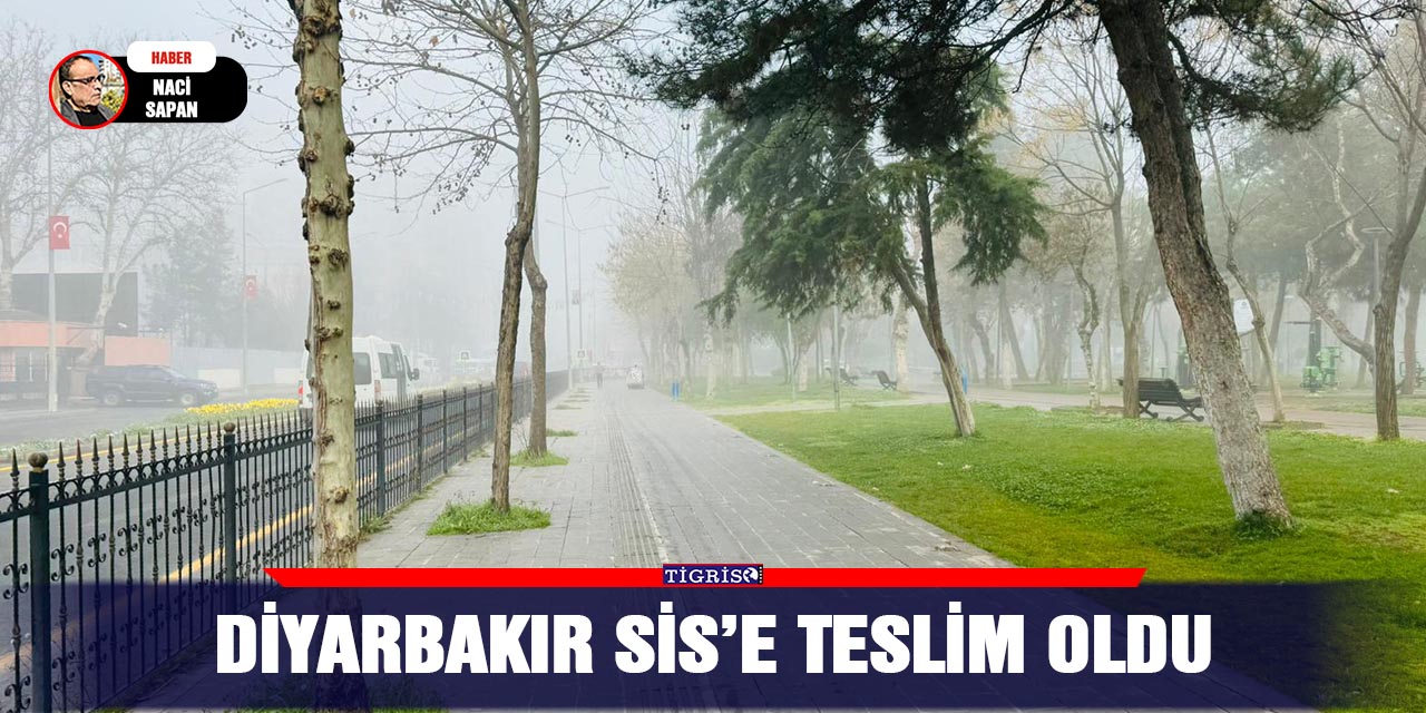 VİDEO - Diyarbakır Sis’e teslim oldu