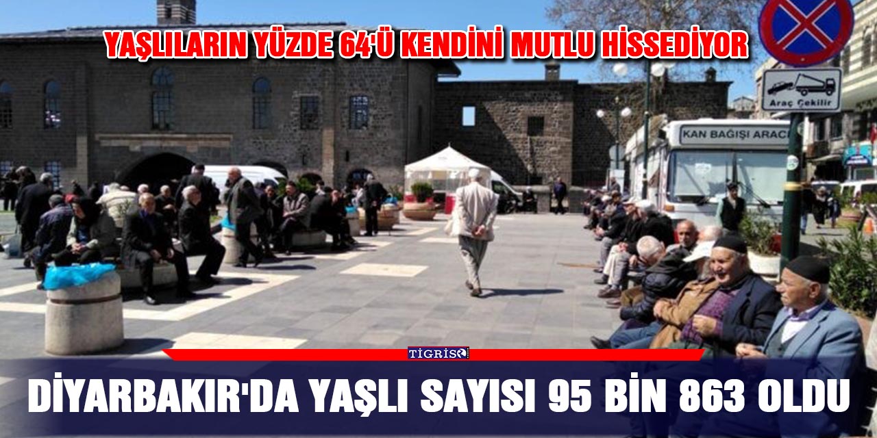 Diyarbakır'da yaşlı sayısı 95 bin 863 oldu