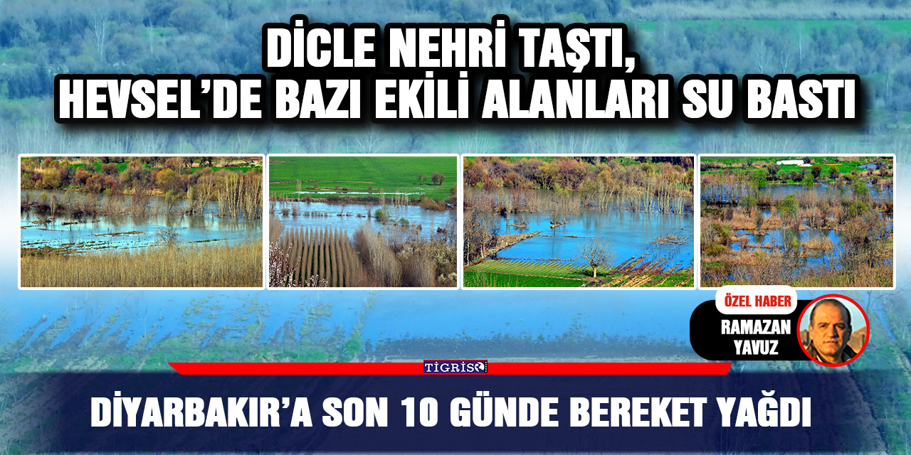 VİDEO - Diyarbakır’a son 10 günde bereket yağdı