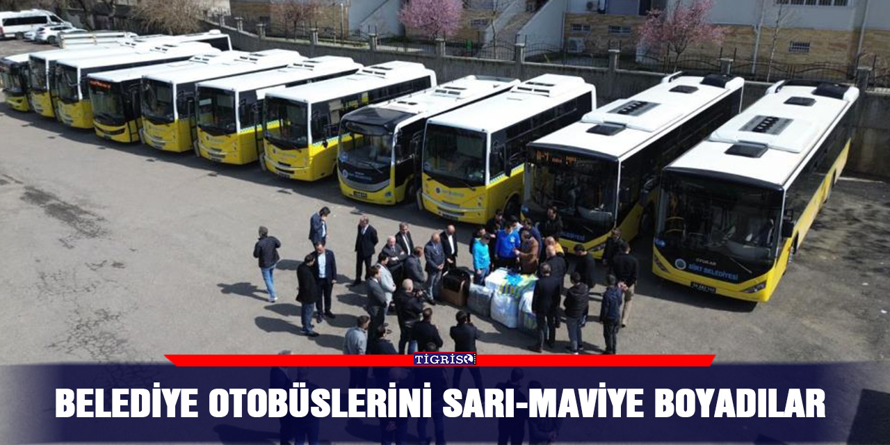 Belediye otobüslerini sarı-maviye boyadılar