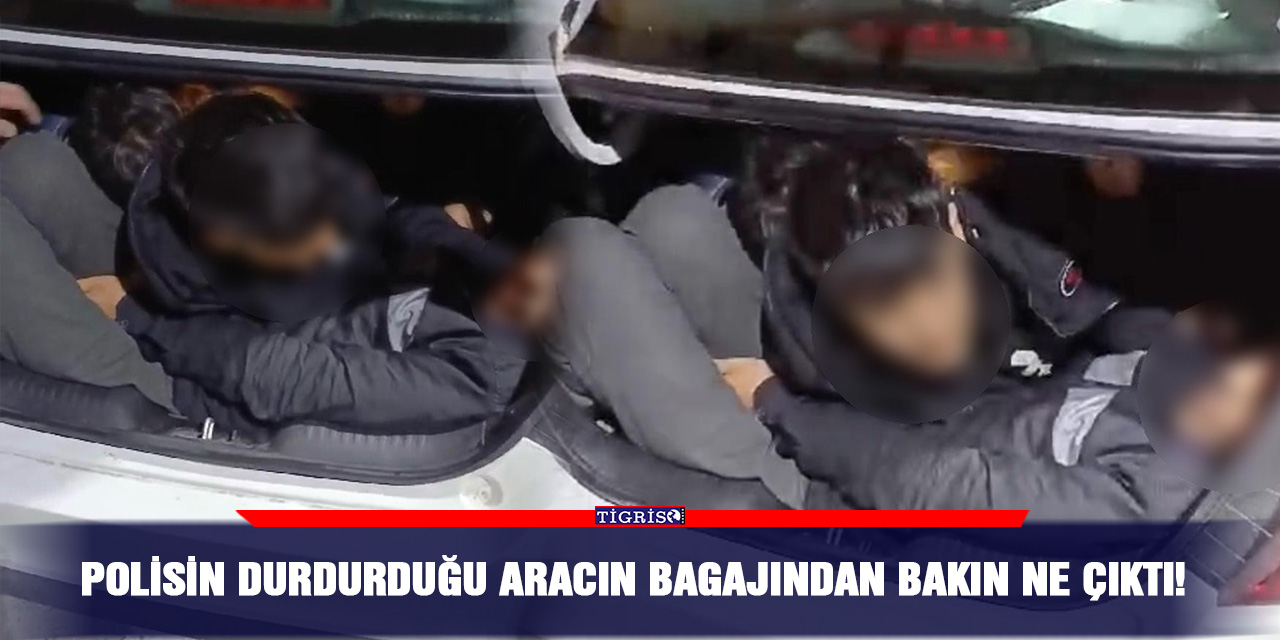 Polisin durdurduğu aracın bagajından bakın ne çıktı!