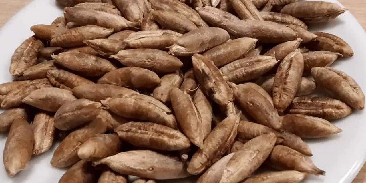 Kendisi kadar çekirdeği de çok faydalı!