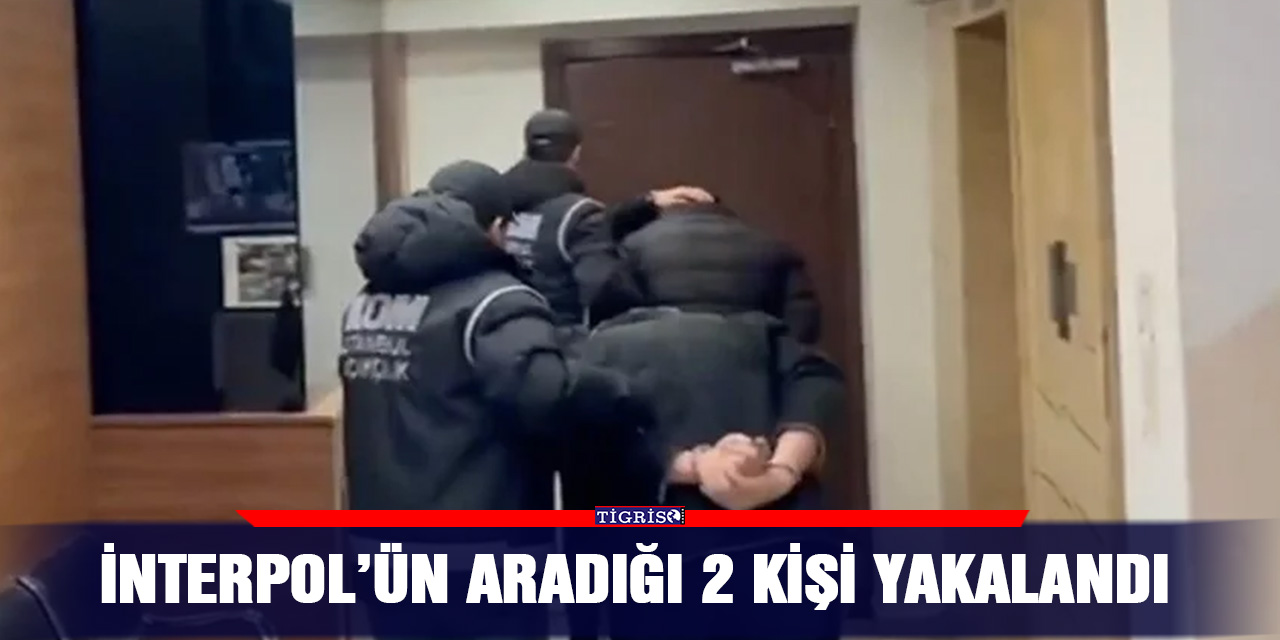 VİDEO - İnterpol’ün aradığı 2 kişi yakalandı