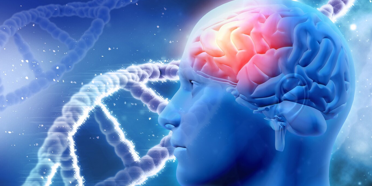 Bu besinler alzheimer riskini azaltıyor