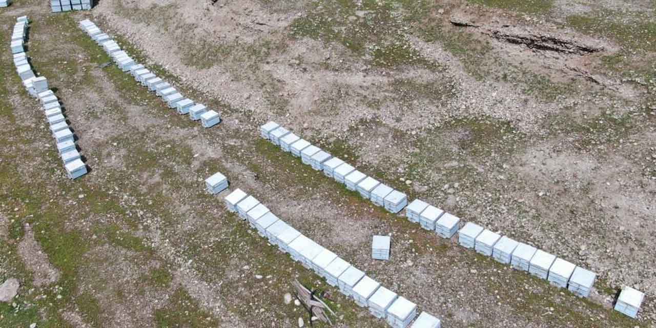 VİDEO - Diyarbakır'da arıların yüzde 30'u telef oldu