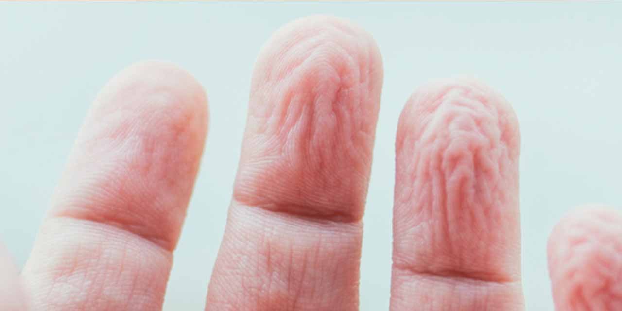 Neden Ellerimiz Buruşur? Bilim İnsanları Bu Fenomeni Açıklıyor