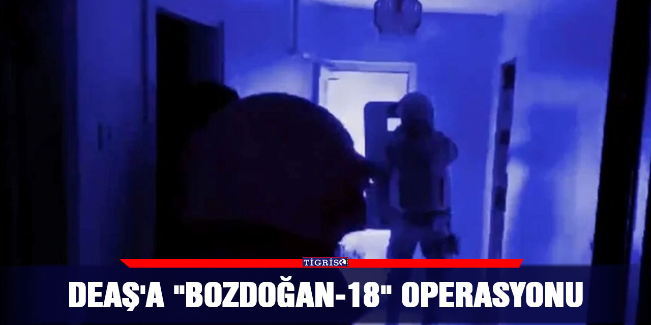 VİDEO - DEAŞ'a "Bozdoğan-18" operasyonu