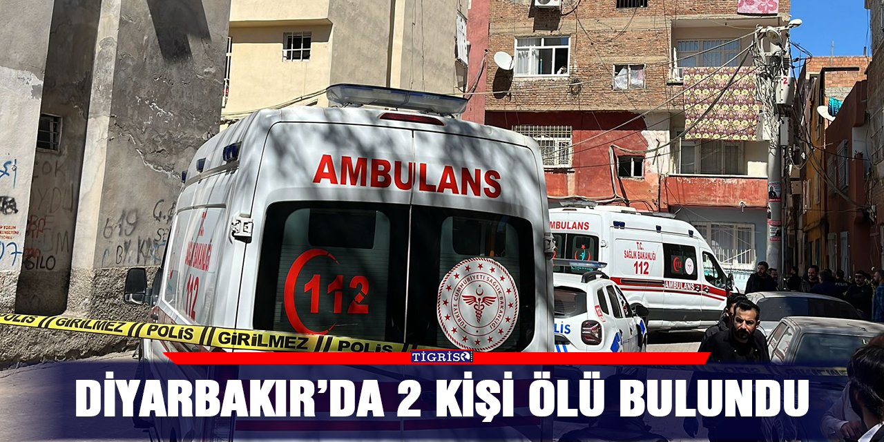 Diyarbakır’da 2 kişi ölü bulundu