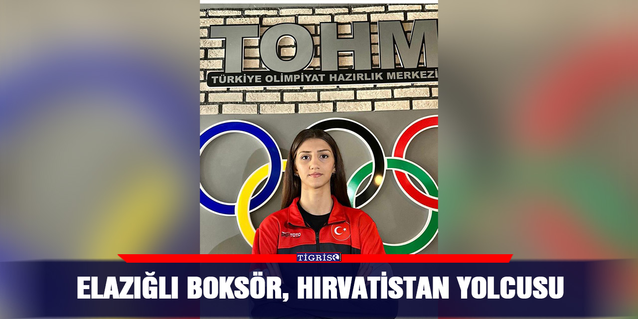 Elazığlı boksör, Hırvatistan yolcusu
