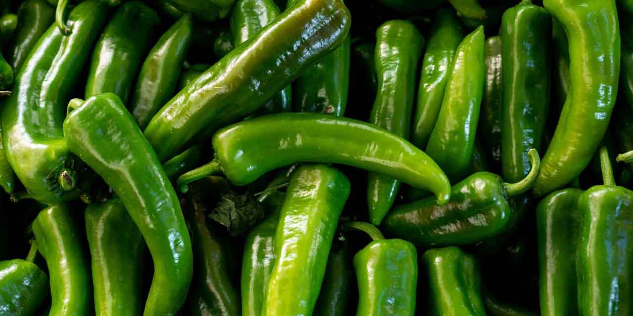 Dünyaca ünlü aşçılar bu şekilde ayırt ediyorlarmış...Acı ve tatlı biberleri bu yöntemle ayırt edebilirsiniz!